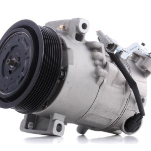 COMPRESSEUR CLIMATIQUE POUR MEGANE/SCENIC DCI 04 (REF : 87207)